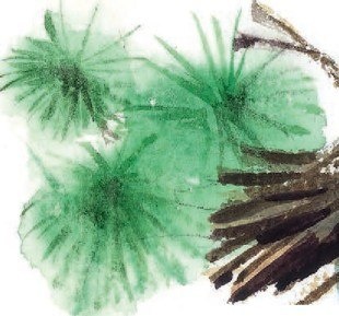 Иллюстрация к книге — Господин Куцехвост и иностранный шпион [i_014.jpg]