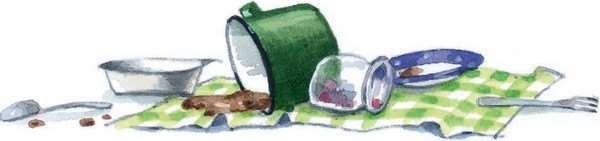 Иллюстрация к книге — Господин Куцехвост и иностранный шпион [i_019.jpg]