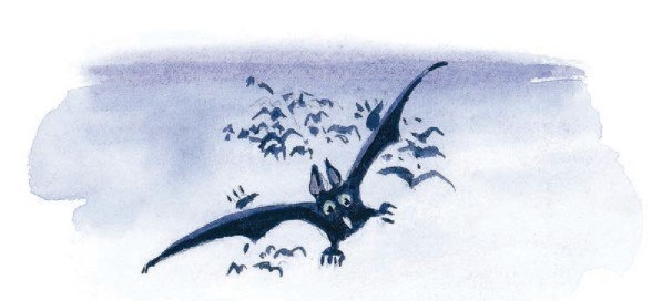 Иллюстрация к книге — Господин Куцехвост и иностранный шпион [i_042.jpg]