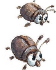 Иллюстрация к книге — Господин Куцехвост и иностранный шпион [i_047.jpg]