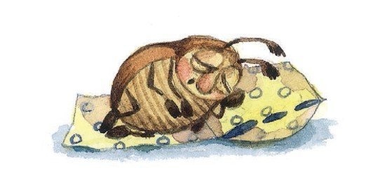 Иллюстрация к книге — Господин Куцехвост и иностранный шпион [i_052.jpg]