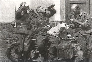 Иллюстрация к книге — 1941 год глазами немцев. Березовые кресты вместо железных [i_015.jpg]