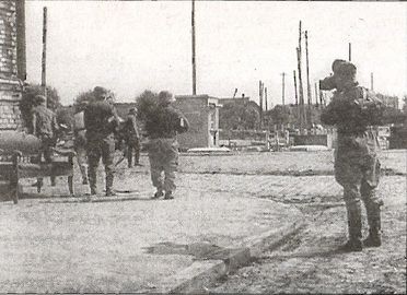 Иллюстрация к книге — 1941 год глазами немцев. Березовые кресты вместо железных [i_023.jpg]