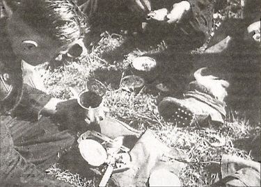 Иллюстрация к книге — 1941 год глазами немцев. Березовые кресты вместо железных [i_026.jpg]