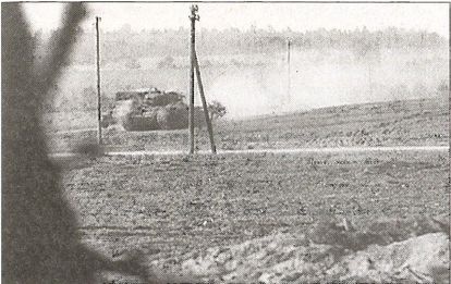 Иллюстрация к книге — 1941 год глазами немцев. Березовые кресты вместо железных [i_035.jpg]