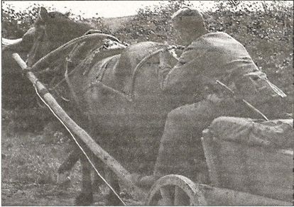 Иллюстрация к книге — 1941 год глазами немцев. Березовые кресты вместо железных [i_043.jpg]