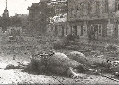 Иллюстрация к книге — 1941 год глазами немцев. Березовые кресты вместо железных [i_044.jpg]