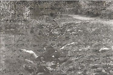 Иллюстрация к книге — 1941 год глазами немцев. Березовые кресты вместо железных [i_047.jpg]