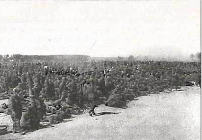 Иллюстрация к книге — 1941 год глазами немцев. Березовые кресты вместо железных [i_055.jpg]