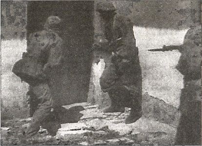 Иллюстрация к книге — 1941 год глазами немцев. Березовые кресты вместо железных [i_067.jpg]