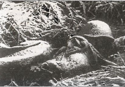 Иллюстрация к книге — 1941 год глазами немцев. Березовые кресты вместо железных [i_071.jpg]