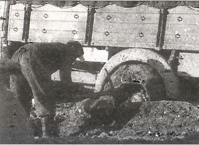 Иллюстрация к книге — 1941 год глазами немцев. Березовые кресты вместо железных [i_075.jpg]