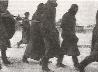 Иллюстрация к книге — 1941 год глазами немцев. Березовые кресты вместо железных [i_086.jpg]