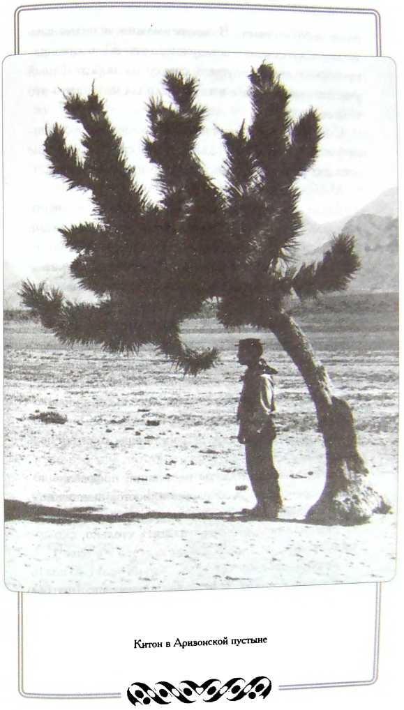 Иллюстрация к книге — Мой удивительный мир фарса [i_009.jpg]