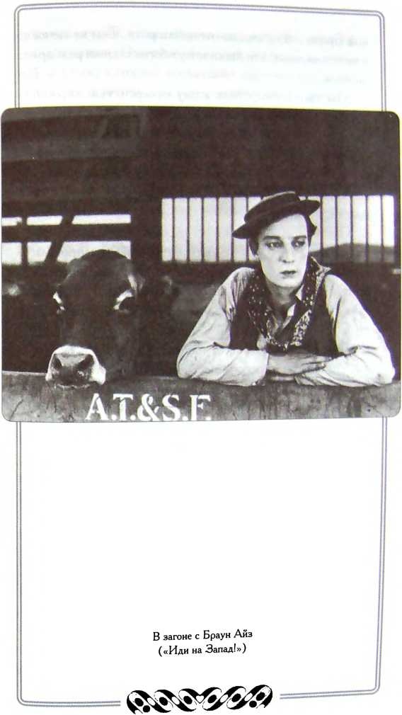 Иллюстрация к книге — Мой удивительный мир фарса [i_017.jpg]