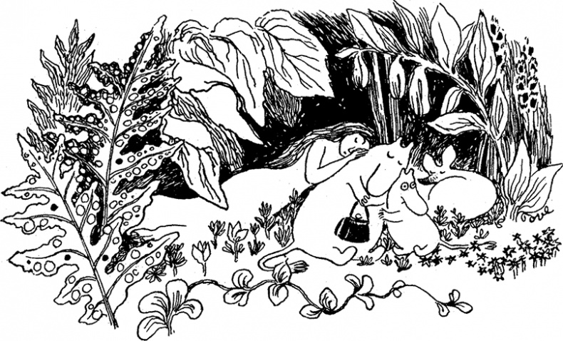 Иллюстрация к книге — Маленькие тролли или большое наводнение [i_007.jpg]