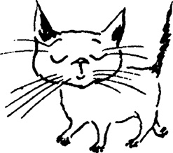 Иллюстрация к книге — Комета прилетает [i_006.jpg]