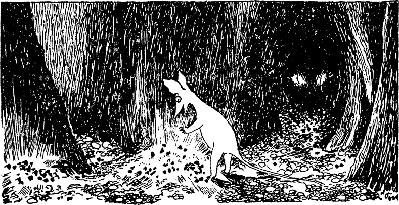 Иллюстрация к книге — Комета прилетает [i_021.jpg]