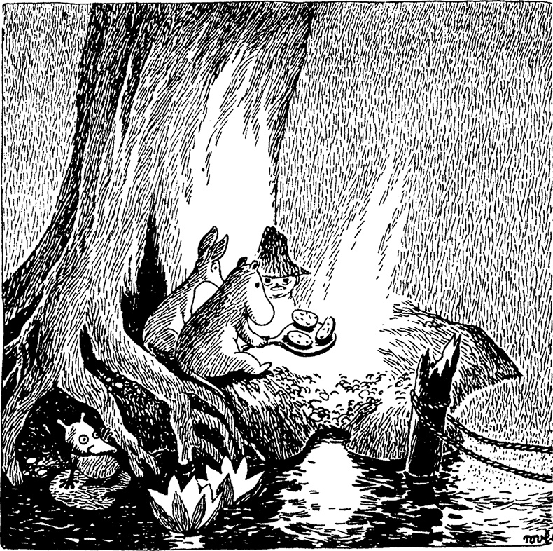 Иллюстрация к книге — Комета прилетает [i_028.jpg]