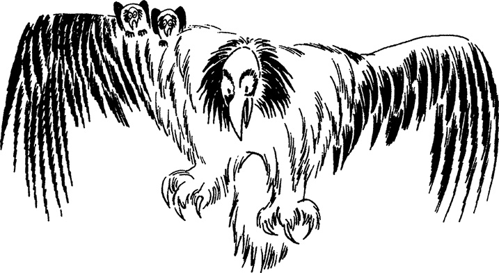 Иллюстрация к книге — Комета прилетает [i_030.jpg]