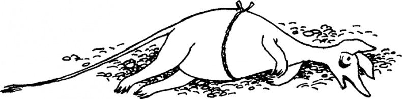 Иллюстрация к книге — Комета прилетает [i_035.jpg]