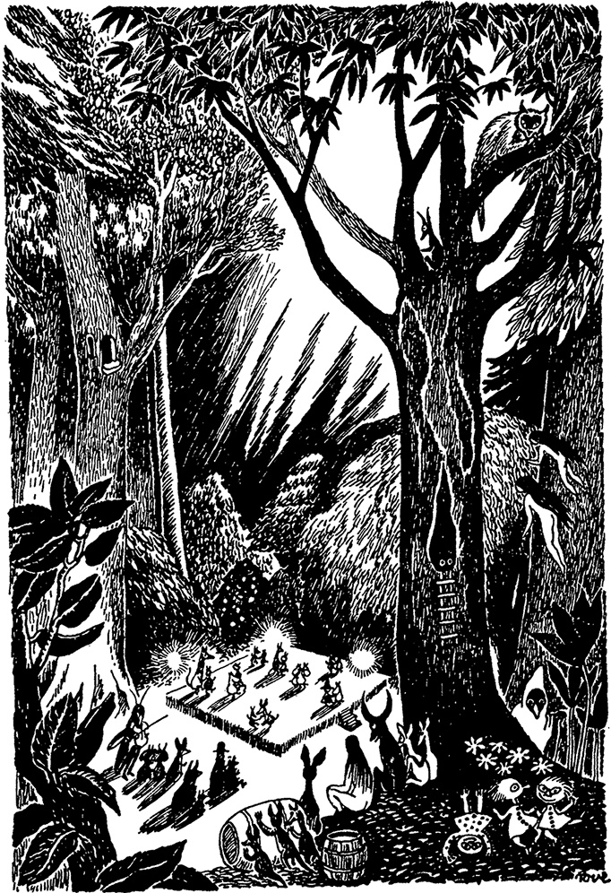 Иллюстрация к книге — Комета прилетает [i_046.jpg]