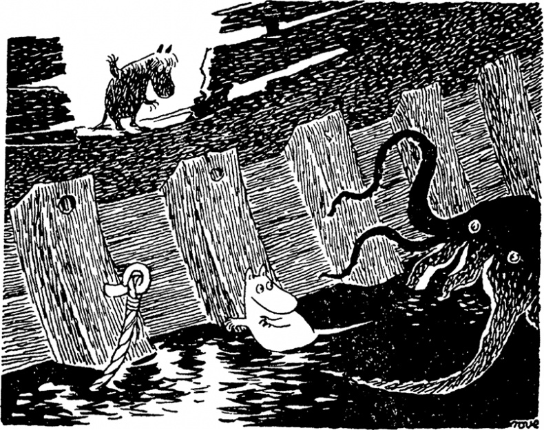 Иллюстрация к книге — Комета прилетает [i_054.jpg]