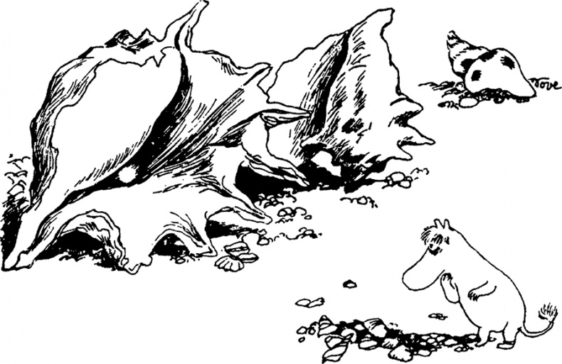 Иллюстрация к книге — Комета прилетает [i_055.jpg]