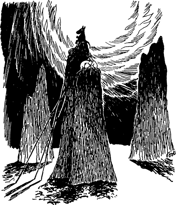 Иллюстрация к книге — Комета прилетает [i_056.jpg]