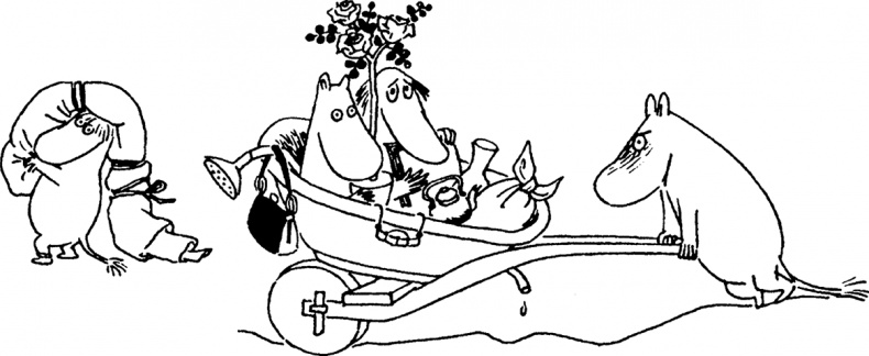 Иллюстрация к книге — Комета прилетает [i_069.jpg]