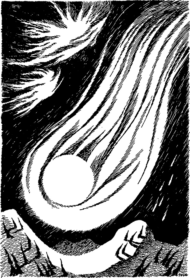 Иллюстрация к книге — Комета прилетает [i_076.jpg]