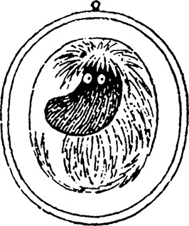 Иллюстрация к книге — Комета прилетает [i_078.jpg]