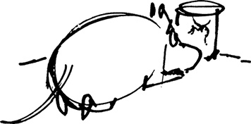 Иллюстрация к книге — Сказки Долины Муми-троллей [i_024.jpg]