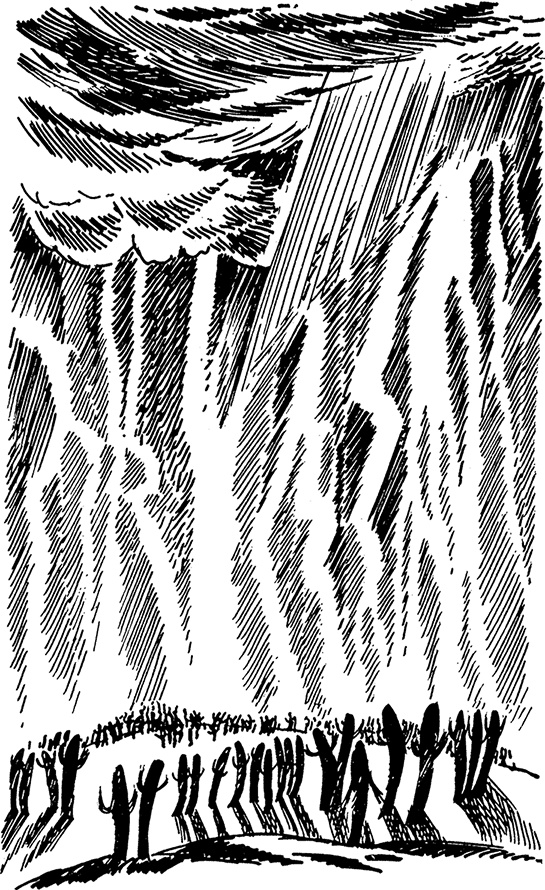 Иллюстрация к книге — Сказки Долины Муми-троллей [i_064.jpg]