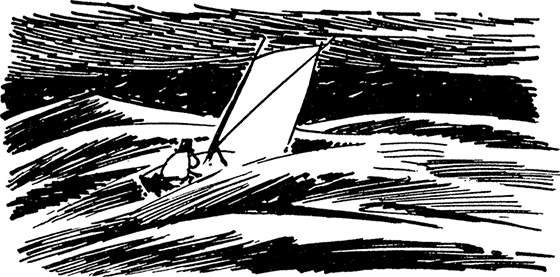 Иллюстрация к книге — Сказки Долины Муми-троллей [i_065.jpg]