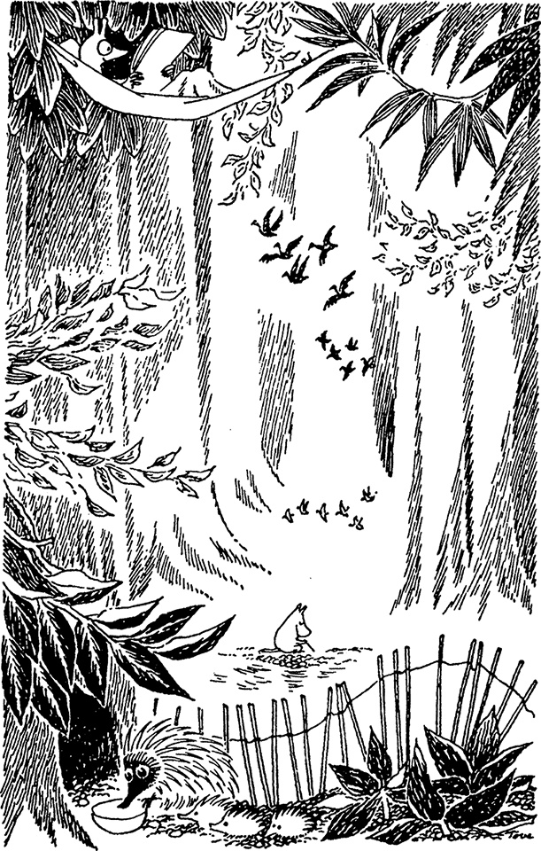 Иллюстрация к книге — Мемуары папы Муми-тролля [i_008.jpg]