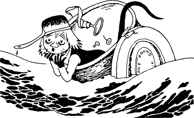 Иллюстрация к книге — Мемуары папы Муми-тролля [i_017.jpg]