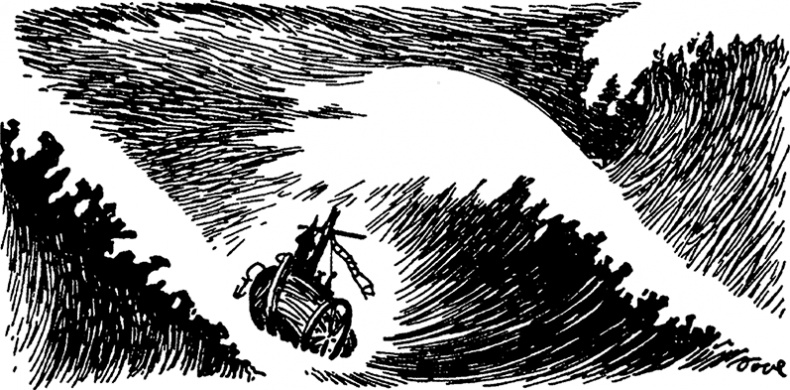 Иллюстрация к книге — Мемуары папы Муми-тролля [i_025.jpg]