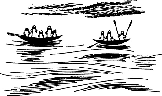 Иллюстрация к книге — Мемуары папы Муми-тролля [i_027.jpg]