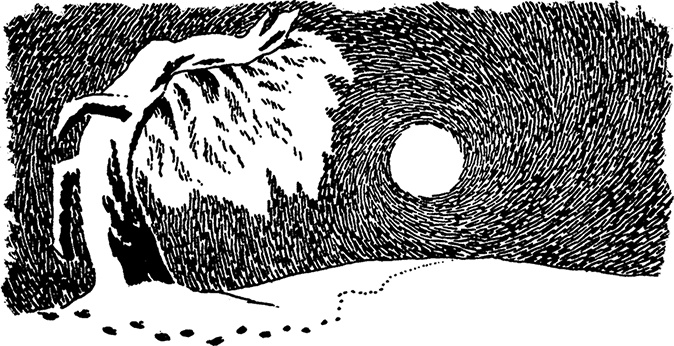 Иллюстрация к книге — Волшебная зима [i_002.jpg]