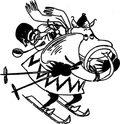 Иллюстрация к книге — Волшебная зима [i_037.jpg]