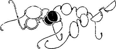 Иллюстрация к книге — В конце ноября [i_065.jpg]