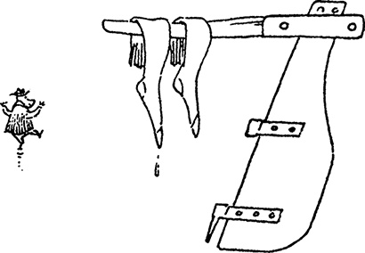 Иллюстрация к книге — В конце ноября [i_078.jpg]