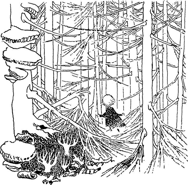 Иллюстрация к книге — В конце ноября [i_082.jpg]