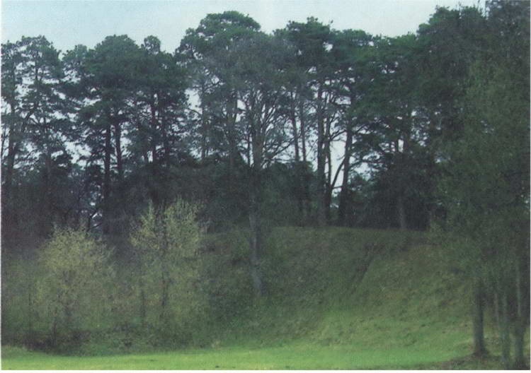 Иллюстрация к книге — Юрий Звенигородский [i_067.jpg]