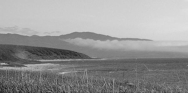 Иллюстрация к книге — Суси-нуар. Занимательное муракамиедение [_26.jpg]