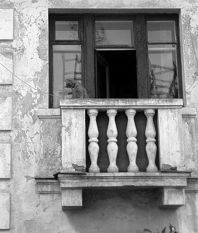 Иллюстрация к книге — Суси-нуар. Занимательное муракамиедение [_29.jpg]