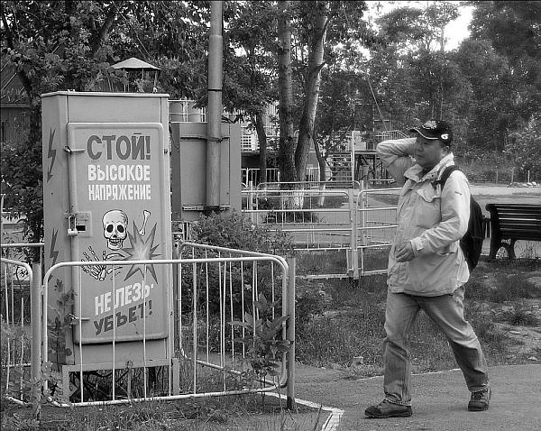 Иллюстрация к книге — Суси-нуар. Занимательное муракамиедение [_31.jpg]