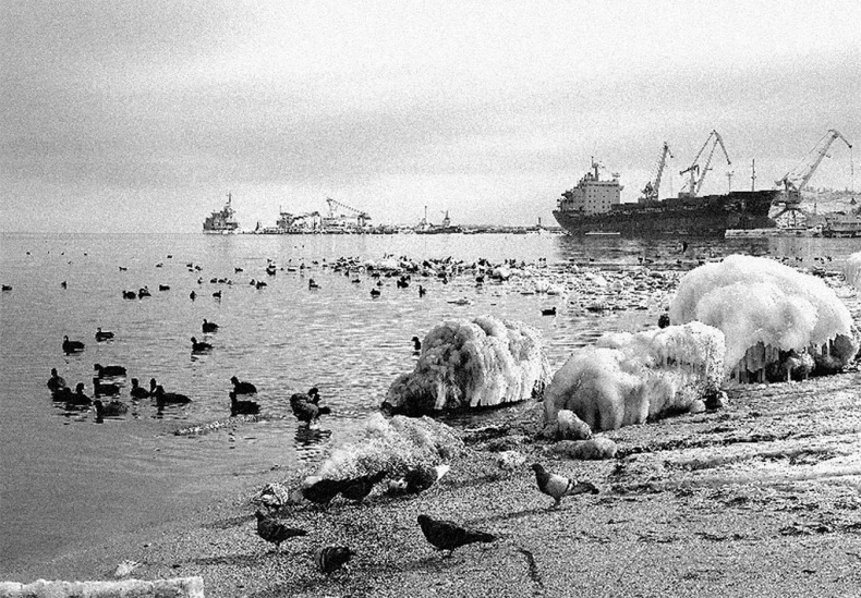 Иллюстрация к книге — Наша счастливая треклятая жизнь [i_024.jpg]