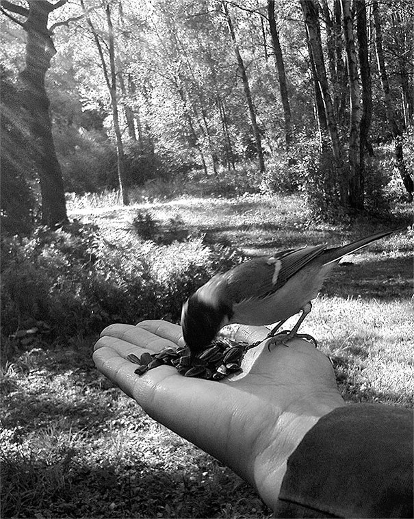 Иллюстрация к книге — Наша счастливая треклятая жизнь [i_054.jpg]